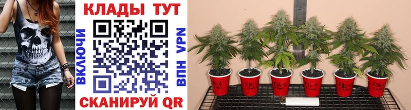 Наркошоп купить Амфетамин  Галлюциногенные грибы  COCAIN  A PVP  Меф мяу мяу  ГАШИШ  Канабис  Белорецк