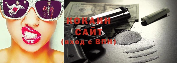 прущие грибы Краснослободск