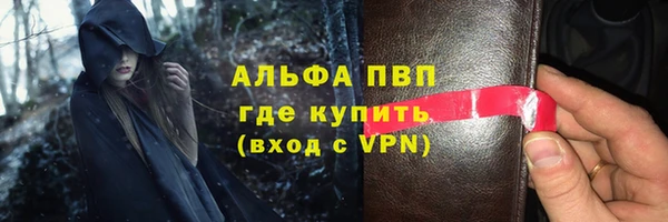 прущие грибы Краснослободск