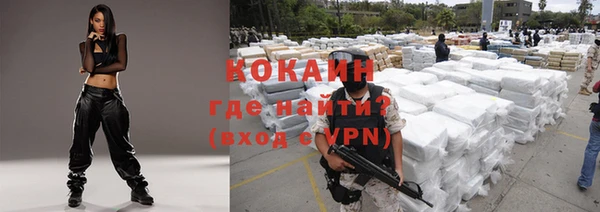 прущие грибы Краснослободск