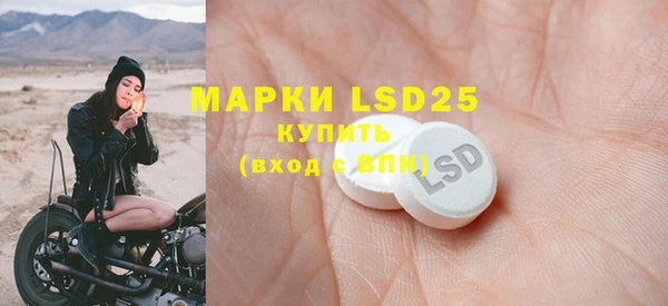 прущие грибы Краснослободск
