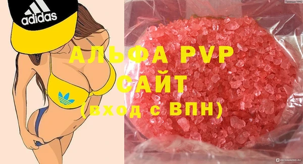 прущие грибы Краснослободск
